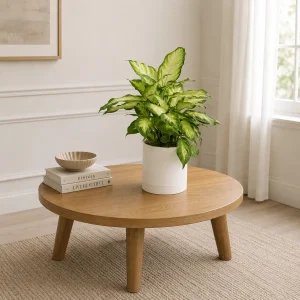 Dieffenbachia